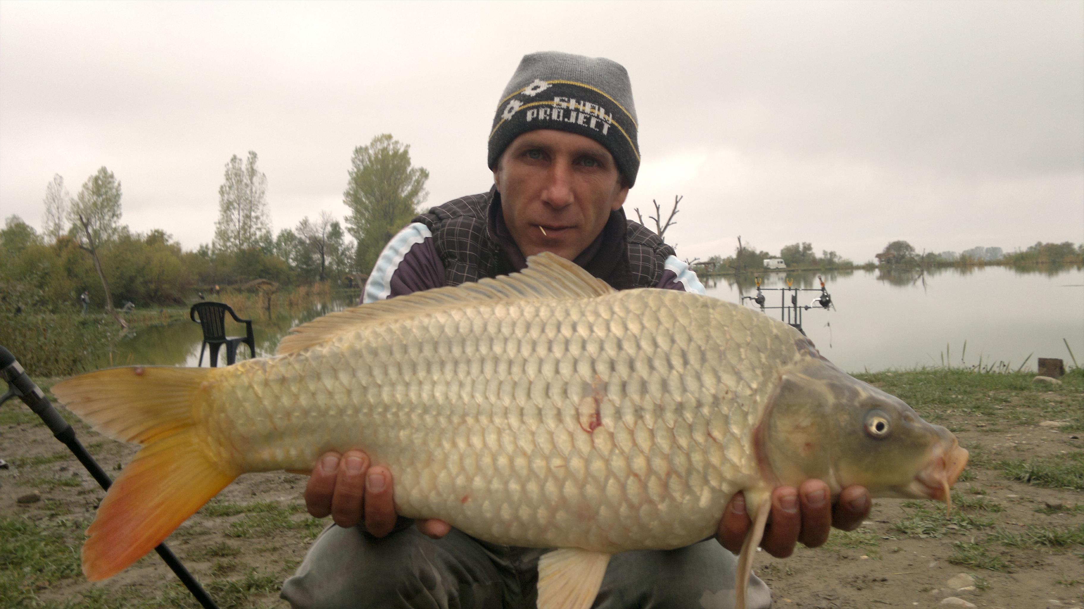 Balta Valea Morii Budila - 14102012927.jpg